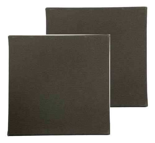 Bastidor De Lienzo Negro 20x30 Fime 0