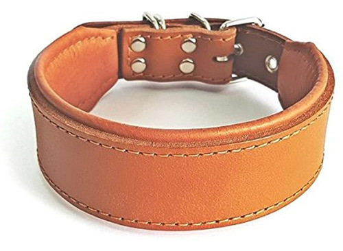 Bestia +  Classic + Padded + Leather + Dog + Collar. + Hand 0