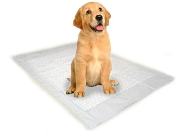 Paños Sanitarios Perros Absorbente Entrenamiento 90x60 X5 Un 0
