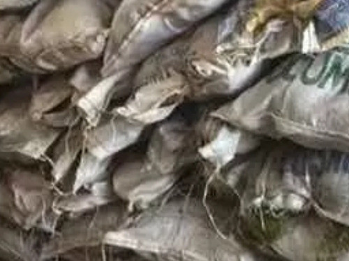 Bolsones De Musgo En Zona Norte Bolsa De 40cm X 60cm Envíos 1