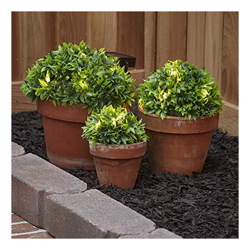 The Lakeside Collection Plantas De Tierra Iluminadas Con Med 0