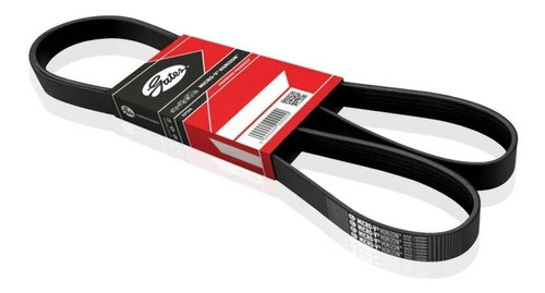 Correa Polyv Alternadoralfa 145/147 155 156 Spider 2.0 Nafta 1