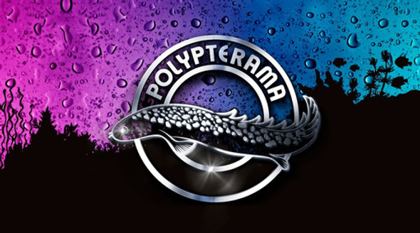 Seachem Acid Regulator 50gr Regula Ph 4.5-6.8 Acuario Polypt 1 Seachem Acid Regulator 50gr Regula Ph 4.5-6.8 Acuario Polypt 1