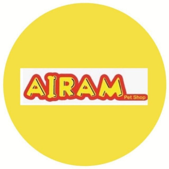 Esfera Mediana Para Hamsters Sirio O Erizo 17 Cm Diametro 1