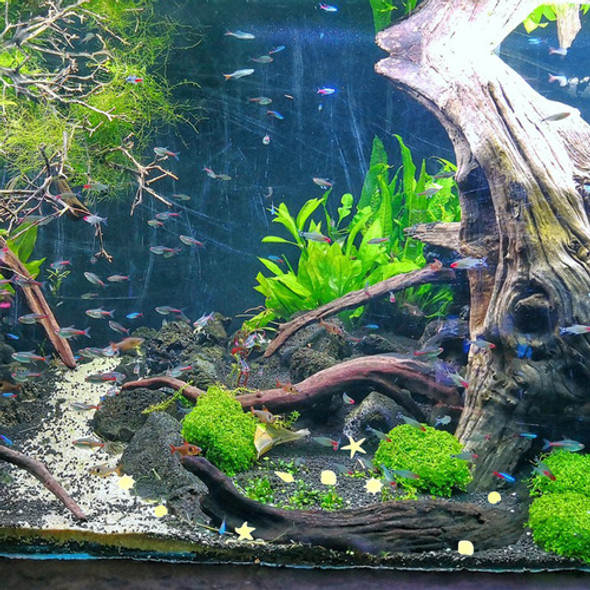 Pedra Fluorescente Rock Fish Tank 50 Unidades 1 Pedra Fluorescente Rock Fish Tank 50 Unidades 1