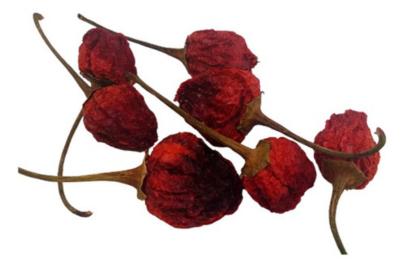 Chile Campanita Ahumado/seco X 20gr. 0