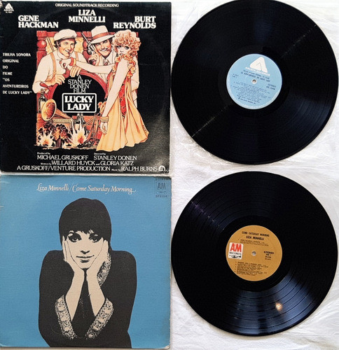 Frt Grátis Liza Minnelli 12 Álbuns Lp Importados / Nacionais 0