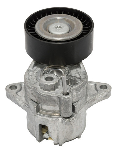 Tensor Accesorios Poly V Skf Vkm 38020 0