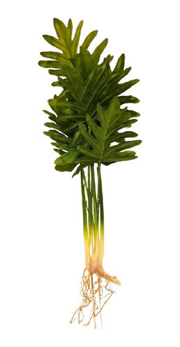 Planta Artificial Costilla Adan 45 Cm 0