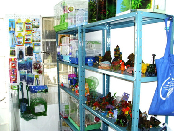 Oferta Carbon Activado 500 Grs Acuario El Delfin 1 Oferta Carbon Activado 500 Grs Acuario El Delfin 1