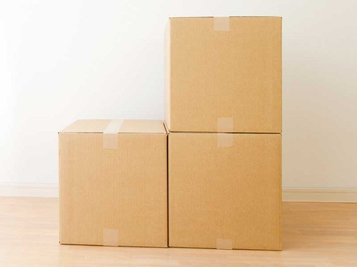 Caja De Carton Estandar 30x20x25 X 25 Unidades 1