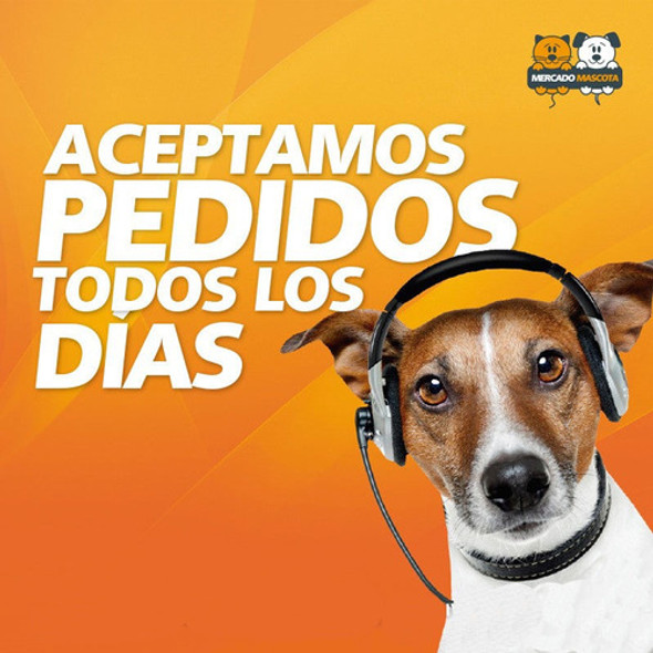 Collar Ahorque Cromado 5 X 80 Yp-3 Perros Gatos Mascotas 1