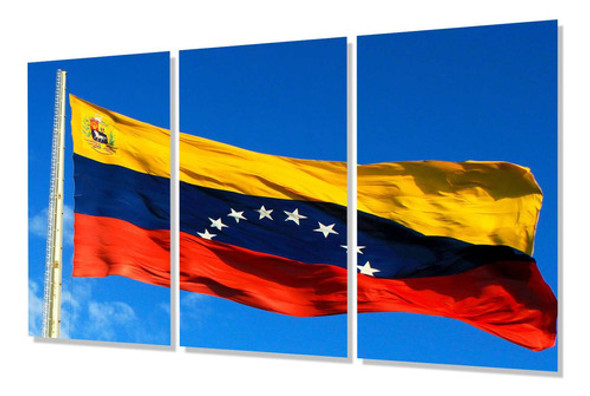 Cuadro Trip 40x60 Bandera Venezuela Pais Latinoamerica M2 0
