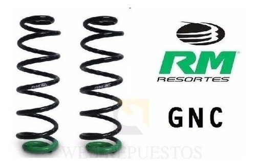 Kit 2 Espirales Rm Traseros Reforzados Gnc | Ford Fiesta Max 1