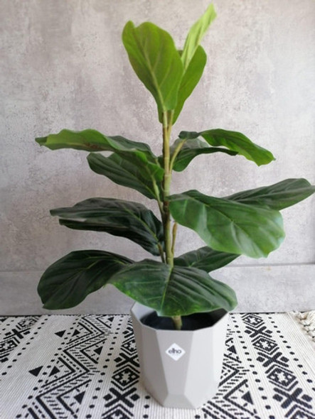 Planta Artificial Ficus Lyrata 60cm Kd2004 1