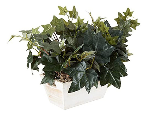 Casi Natural 6715 14 PuLG. Hiedra Con Planta De Seda De Plan 0