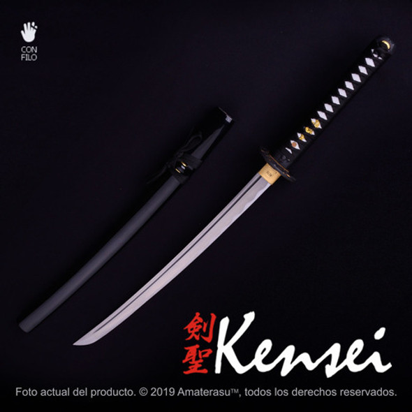 Katana Wakizashi Kensei Aohige Full Tang Filo Extremo 1 Katana Wakizashi Kensei Aohige Full Tang Filo Extremo 1