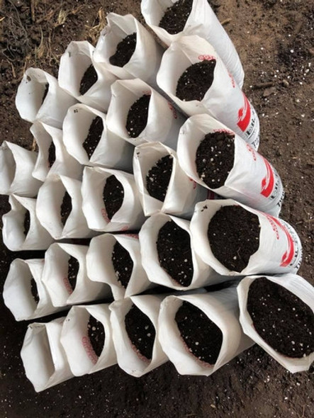 Tierra Fertil Mejorada 1