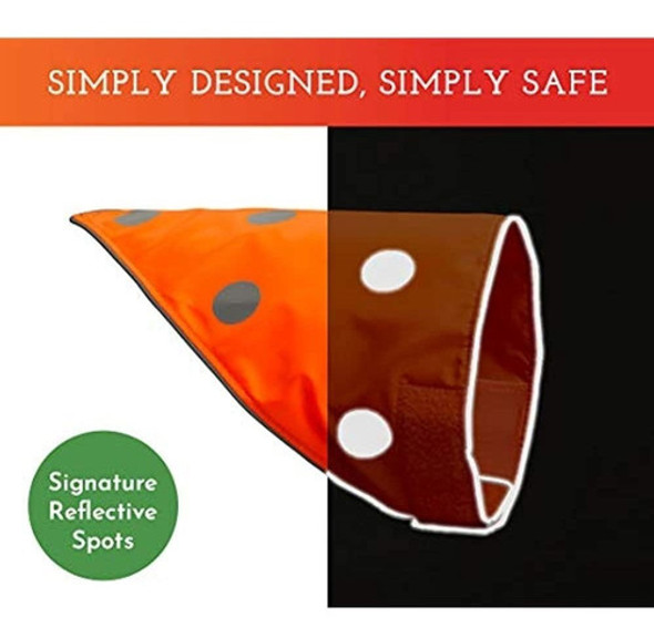 Ve Al Perro! Bandana Para Perros De Facil Sujecion, Alta V 1