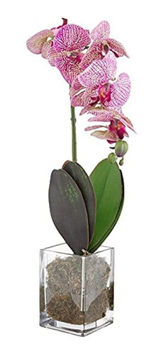 Casi Natural 24 Pulgadas. Orquídea Phalaenopsis Florero Arti 0