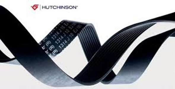 Correa Poli V Hutchinson 6pk 1605 0
