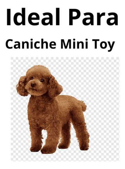 Chaleco Post Quirúrgico Slim Perros Talle 2 Caniche 1 Chaleco Post Quirúrgico Slim Perros Talle 2 Caniche 1