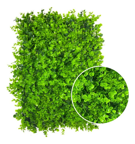 Kit 21 Placa De Grama Eucalipto 40x60 Jardim Vertical Luxo 0