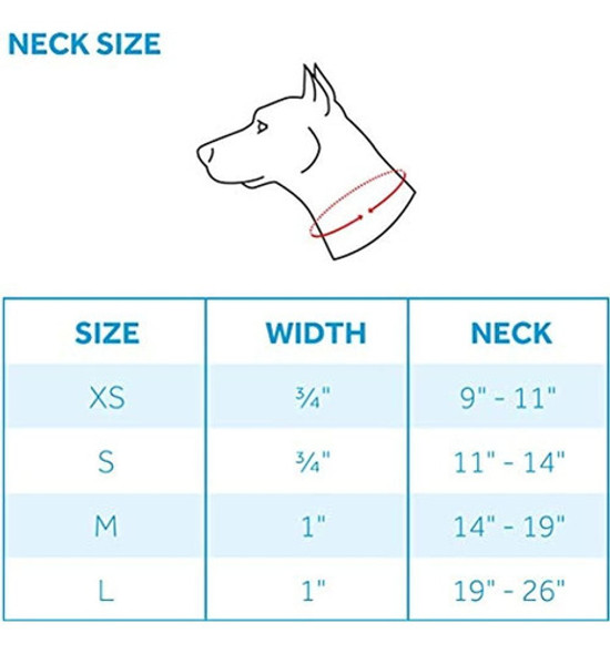 Rc Productos Para Mascotas Easy Clip Martingala Collar Para 1