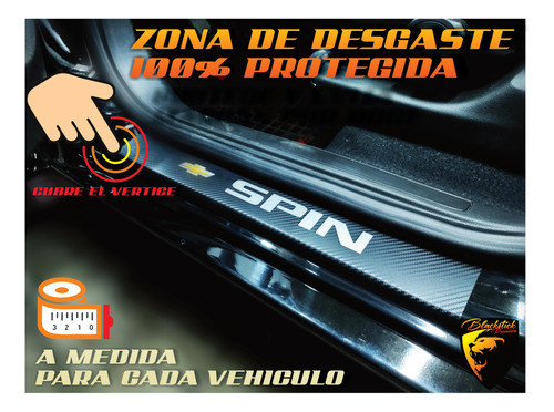 Cubre Zocalos Carbono Peugeot 206 4ptas Logo Resinado 1