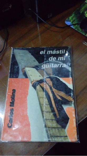 Libro El Mástil De Mi Guitarra 0