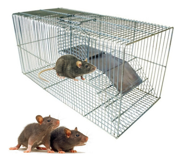 Ratoeira Grande Fundo Falso Capturar Rato Camundongo 0