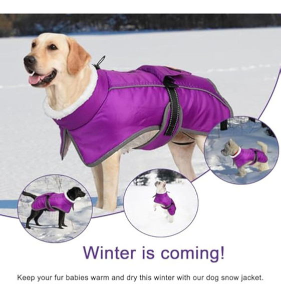 Mklhgty Abrigo De Invierno Para Perro, Reflectante 1