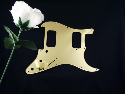 Escudo Strato Am Std Hh Floyd Rose Espelho Dourado 0