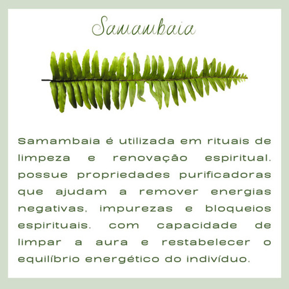 Verdadeira Erva Mística Alfazema Samambaia -banho Milagroso 1 Verdadeira Erva Mística Alfazema Samambaia -banho Milagroso 1