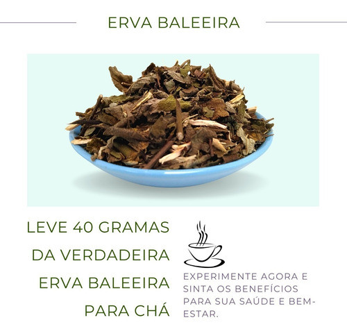 Chá De Erva Baleeira | Pura Catinga-de-barão 100% Natura 1