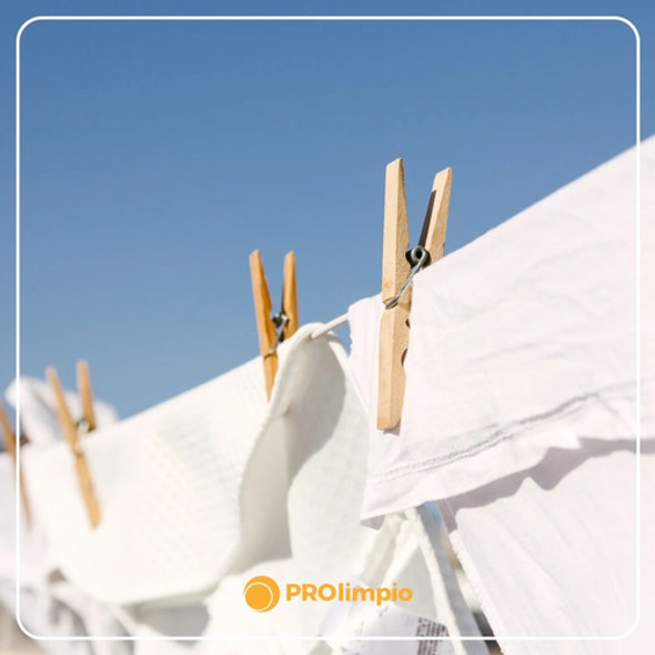 Blanqueador En Polvo Para Ropa Blanca 250 Gramos - Prolimpio 1