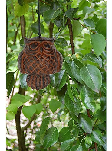 Colección De Hábitats De Búho De Woodstock Owl 1