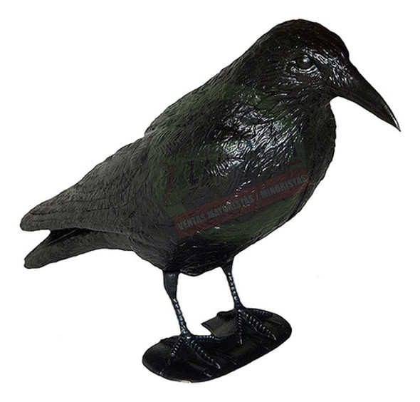 Cuervo Raven Ahuyenta Espanta Palomas Original Zona Norte 0