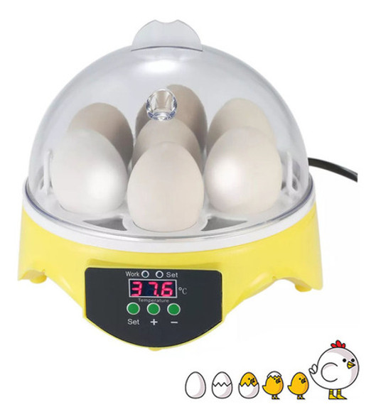 Equipamento De Incubação Incubadora De Codornas Pombos 110v 0