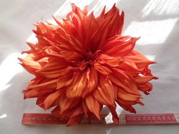 Bulbos De Dalias X 5 Unidades A Elección. Cultivo Propio. 0
