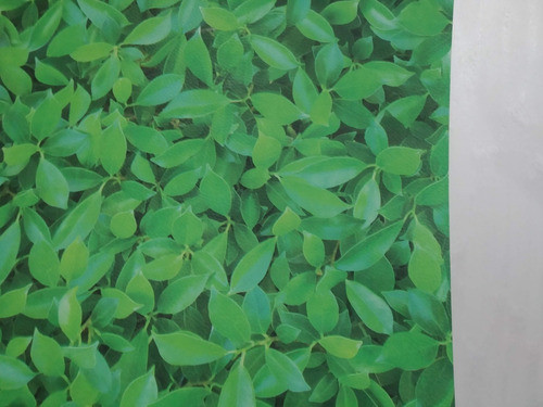 Empapelado Muresco Papel Zen Vinilizado Hojas Verde 34801 0
