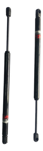 Amortiguador De Porton Focus 0