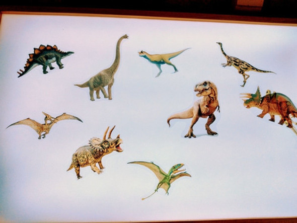 Sensory Touch Kit Dinosaurios Translúcidos Prehistoria 0 Sensory Touch Kit Dinosaurios Translúcidos Prehistoria 0