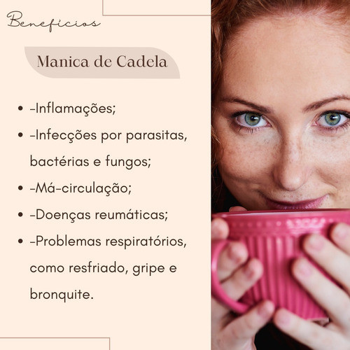 Chá Manica Cadela Puro - Legitimo Brosimum Gaudichaudii 50g 1