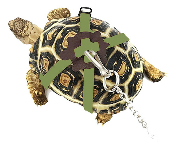 Correa De Paseo Ajustable Para Tortugas Pequeñas Verde 0