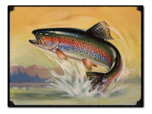 Pack De 3 Posters 30 X 40 Papel Ilustración / Pesca Pez Koi 0