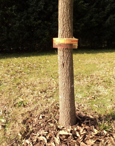 Pack De 5 Barrera Protectora Anti Hormigas Plantas Y Arboles 1