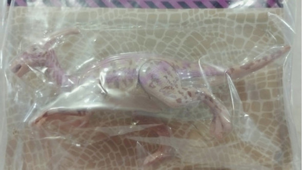 Dinosaurios Asombrosos Reyes Tierra N 11 Parasaurolophus 1