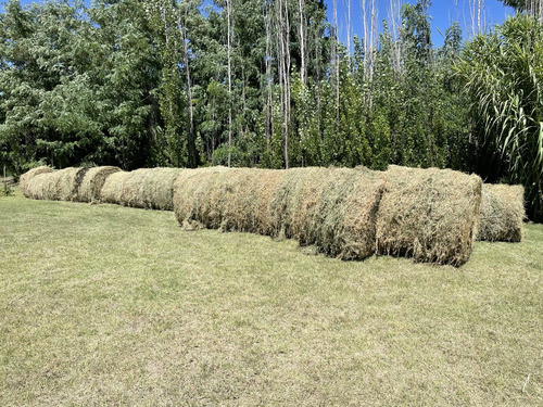 Rollos De Alfalfa Rr 20 Rollos En Total 1