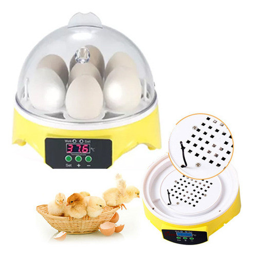 Profissional Digital Pintinas Auto Hoker De Hazzler 0